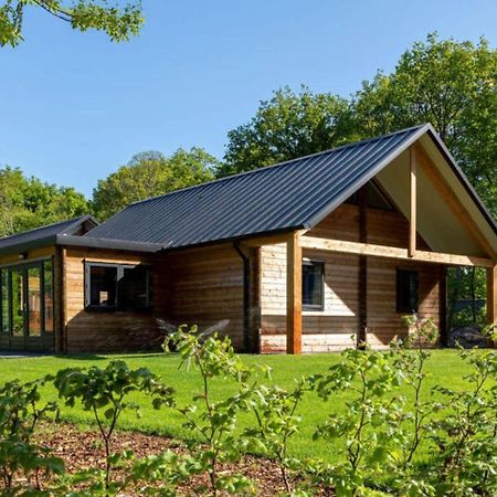 Cosy Wooden House Amid Woods In Soesterberg Утрехт Екстериор снимка