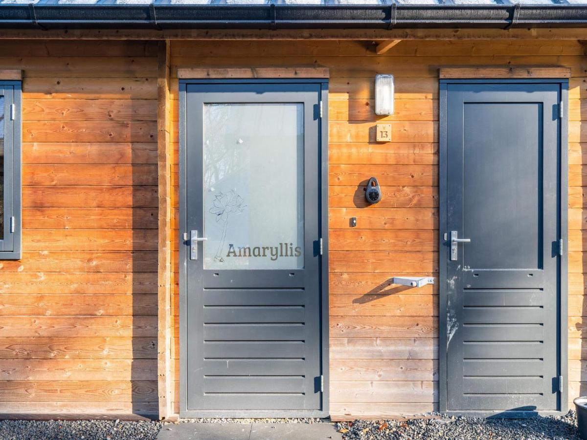 Cosy Wooden House Amid Woods In Soesterberg Утрехт Екстериор снимка