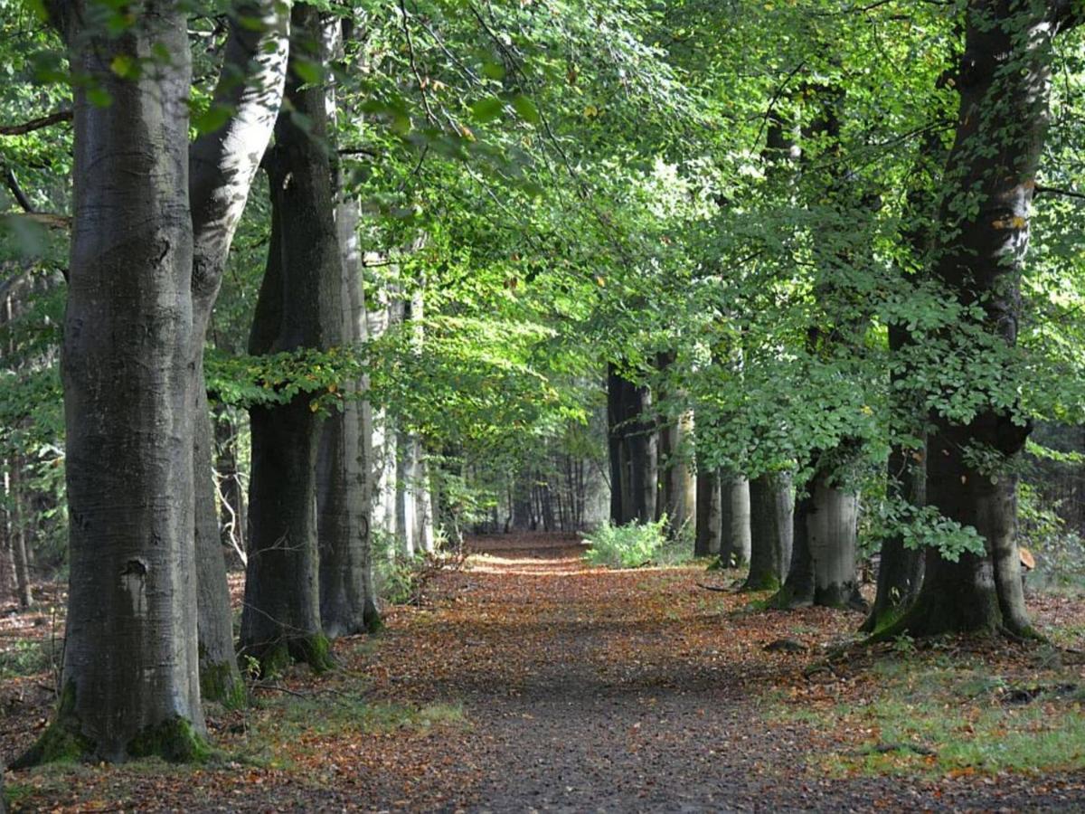 Cosy Wooden House Amid Woods In Soesterberg Утрехт Екстериор снимка