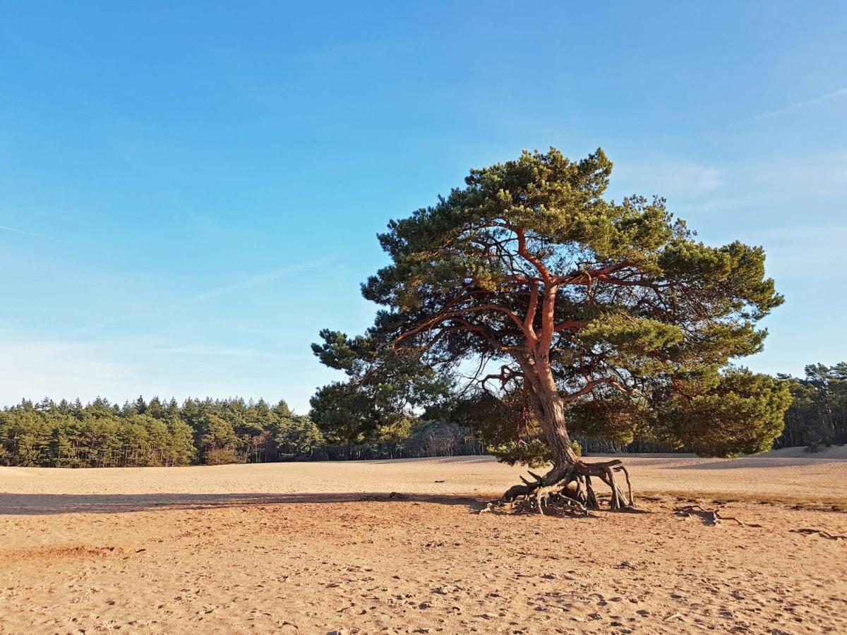 Cosy Wooden House Amid Woods In Soesterberg Утрехт Екстериор снимка